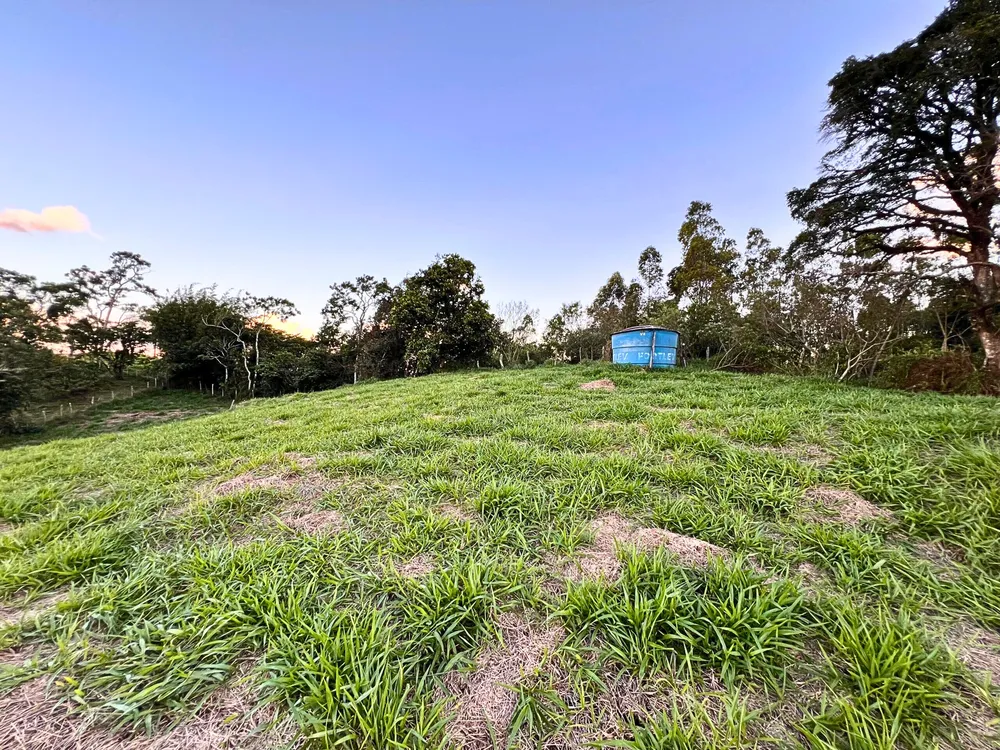 Terreno, 3 hectares - Foto 14
