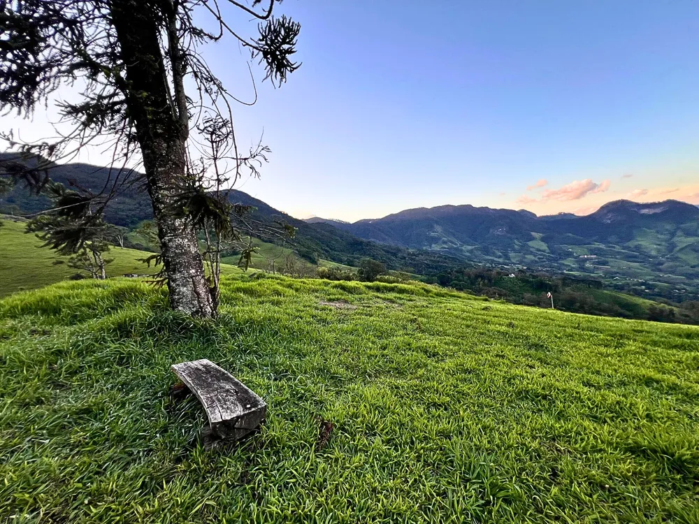 Terreno, 3 hectares - Foto 4
