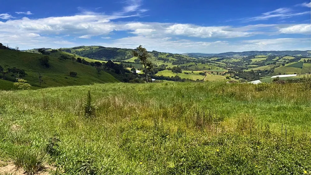 Terreno, 15 hectares - Foto 3