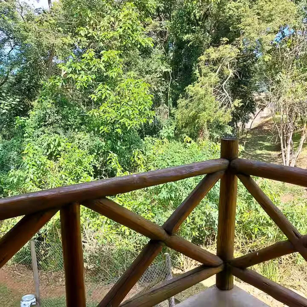 Casa, 4 quartos, 348 m² - Foto 3