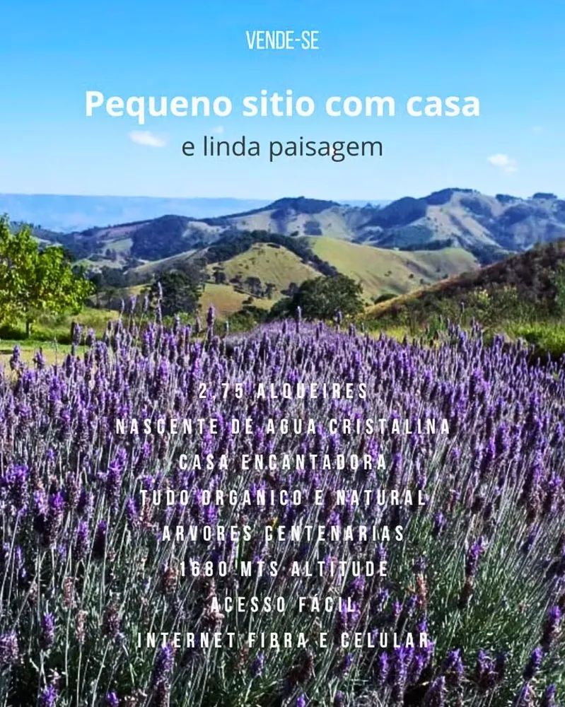 Chácara, 2 quartos, 7 hectares - Foto 9