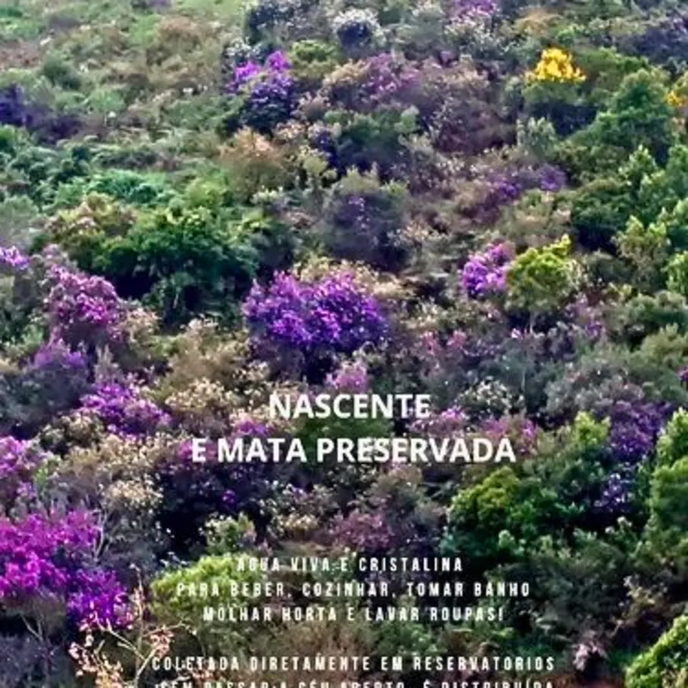 Chácara, 2 quartos, 7 hectares - Foto 11