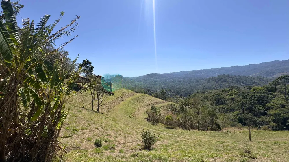 Terreno, 8 hectares - Foto 4