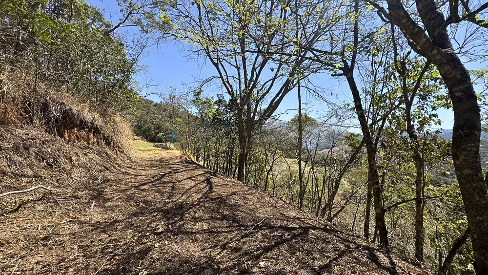 Terreno, 8 hectares - Foto 13