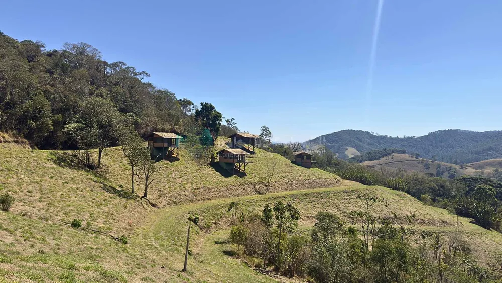 Terreno, 8 hectares - Foto 10
