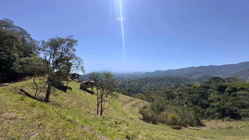 Terreno, 8 hectares - Foto 3
