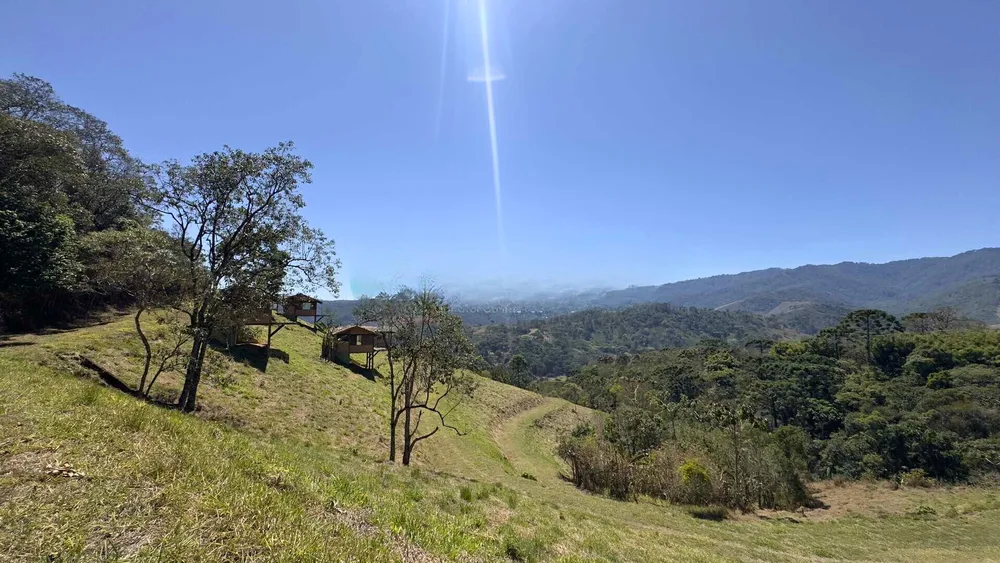 Terreno, 8 hectares - Foto 6