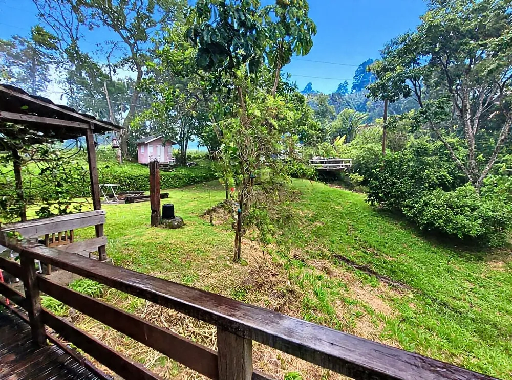 Casa, 7 quartos, 220 m² - Foto 6