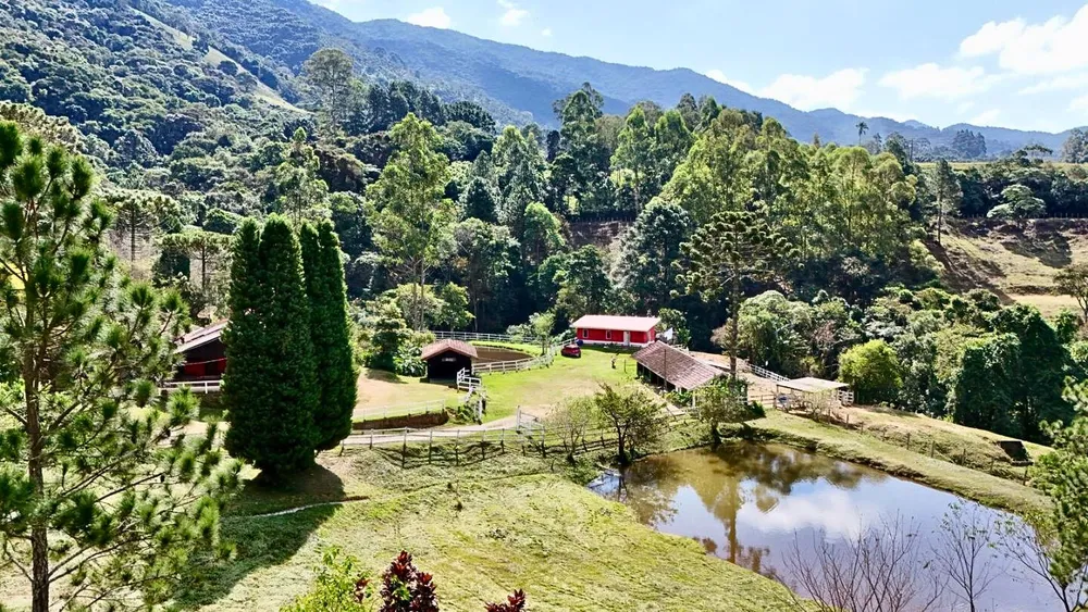 Casa, 2 quartos, 204 m² - Foto 3