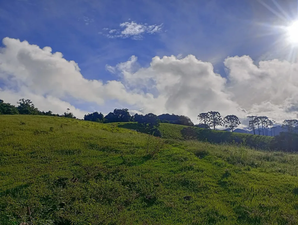 Terreno, 13 hectares - Foto 12