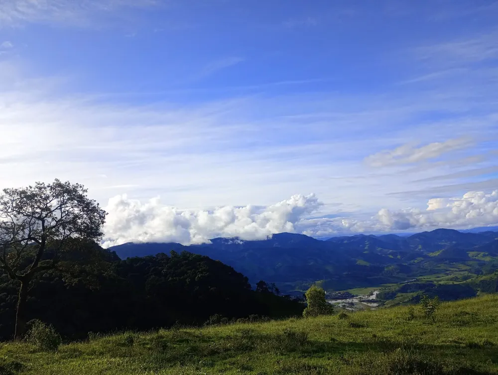 Terreno, 13 hectares - Foto 8