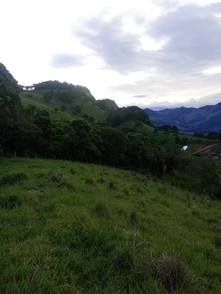 Terreno, 13 hectares - Foto 14