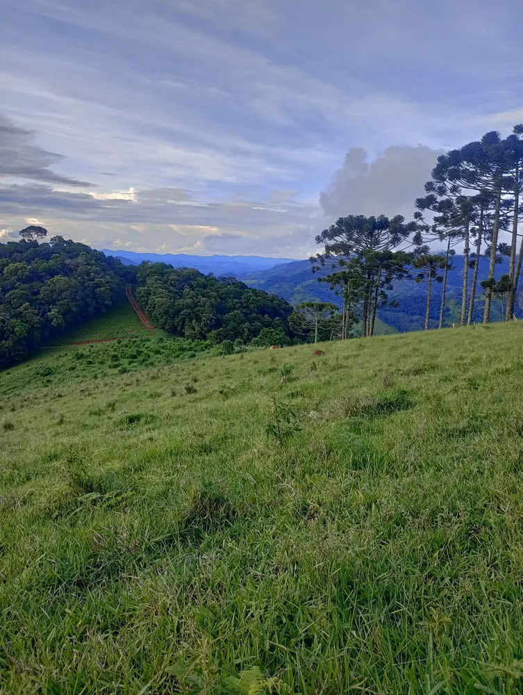 Terreno, 13 hectares - Foto 1