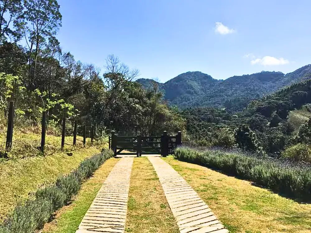 Casa, 2 quartos, 120 m² - Foto 6
