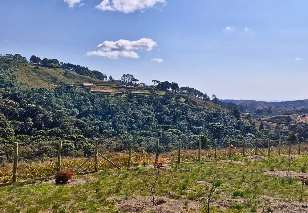 Terreno, 9300 m² - Foto 5