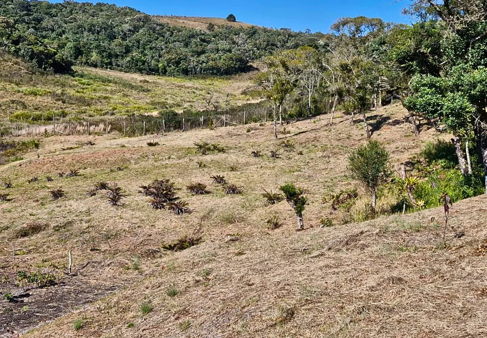Terreno, 9300 m² - Foto 10
