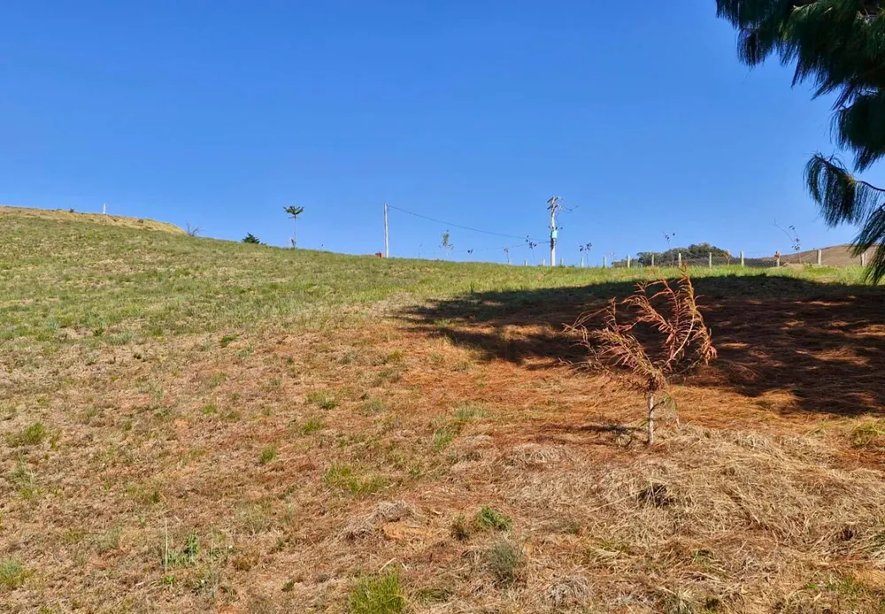 Terreno, 9300 m² - Foto 7