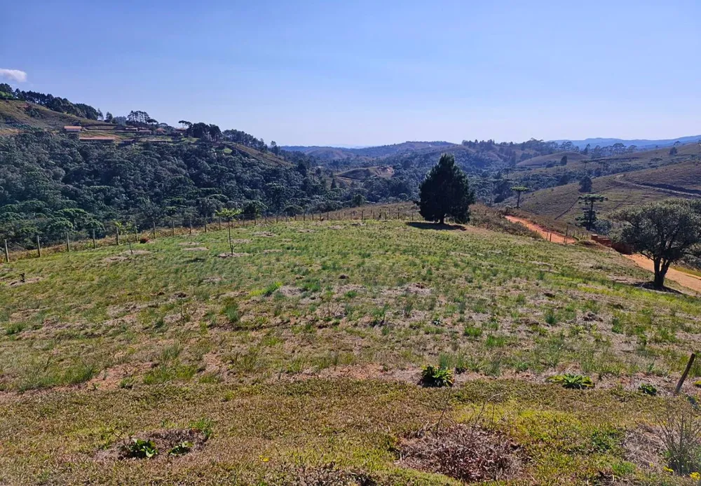 Terreno, 9300 m² - Foto 1