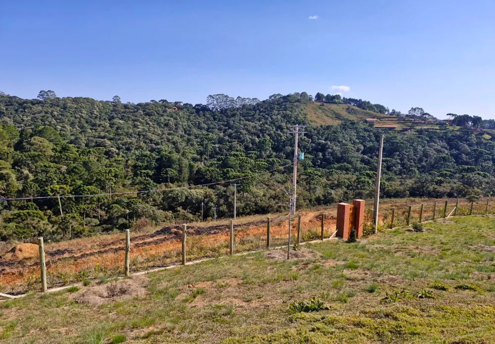 Terreno, 9300 m² - Foto 11