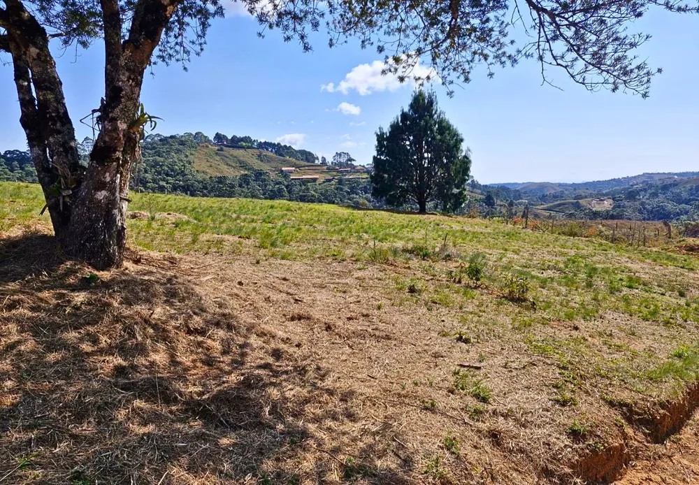 Terreno, 9300 m² - Foto 8