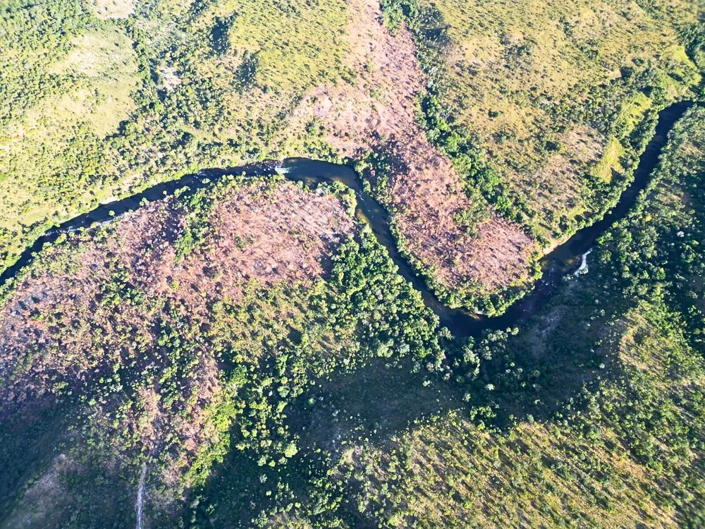 Terreno, 453 hectares - Foto 8