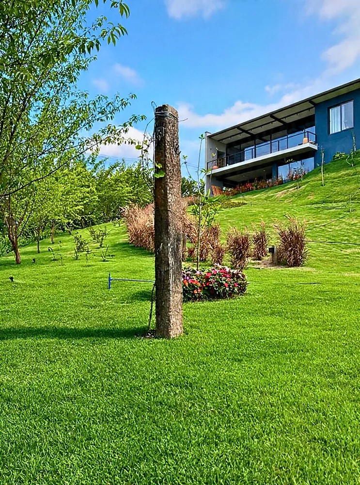 Casa, 3 quartos, 419 m² - Foto 1