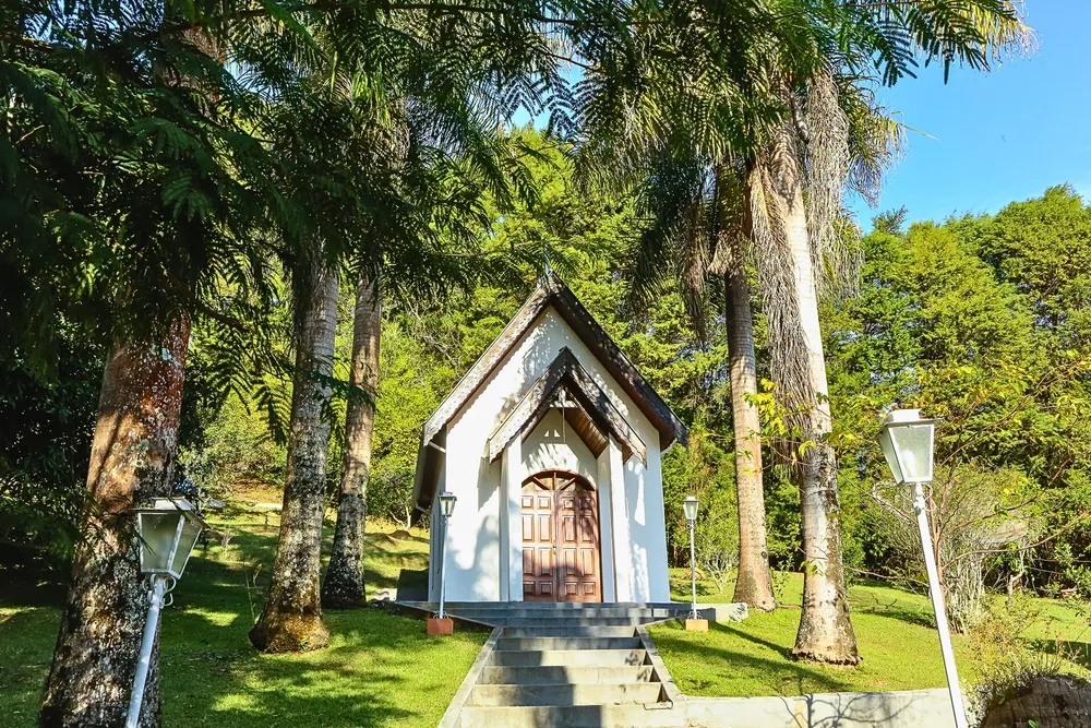 Chácara, 5 quartos, 2 hectares - Foto 6