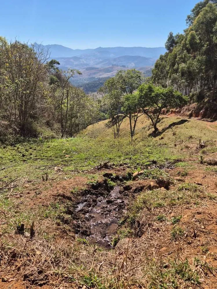 Terreno, 73 hectares - Foto 8