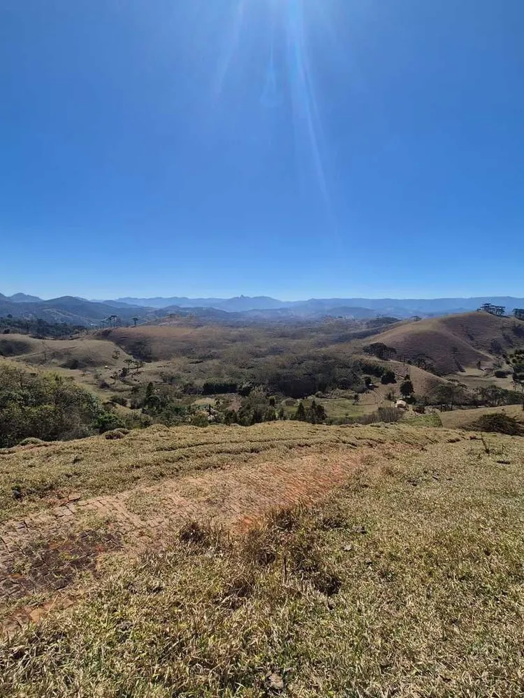 Terreno, 73 hectares - Foto 3