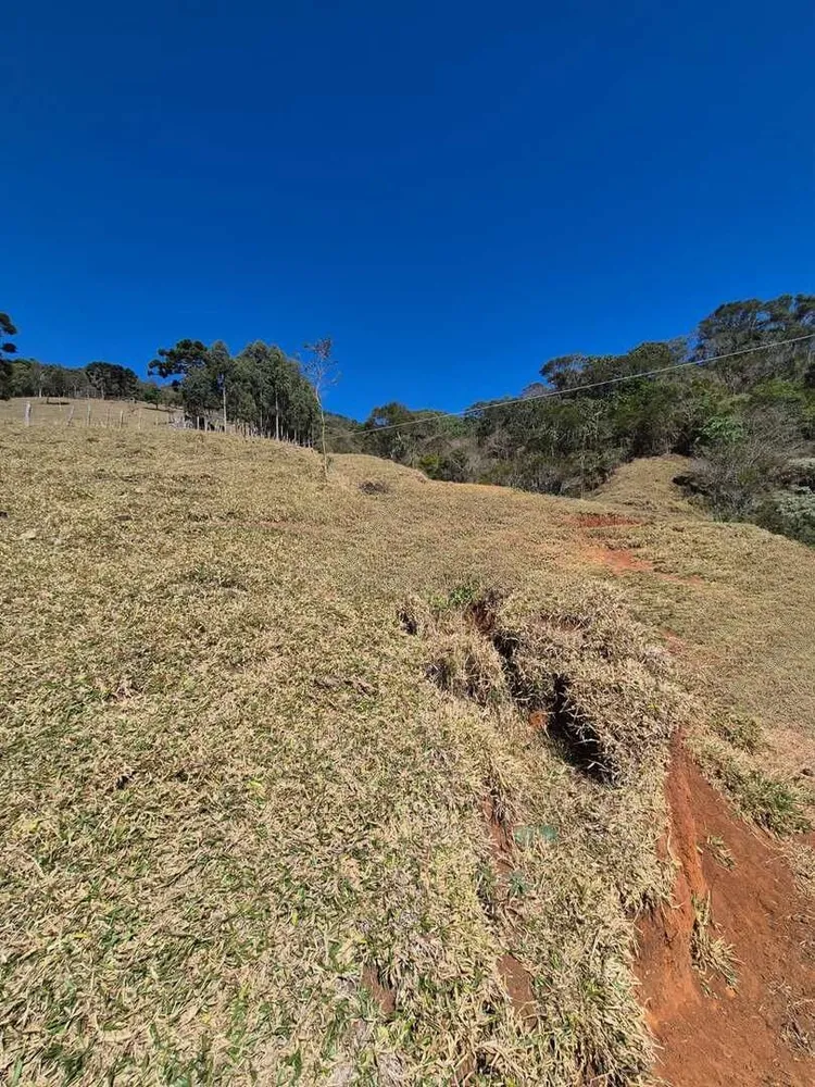 Terreno, 73 hectares - Foto 4