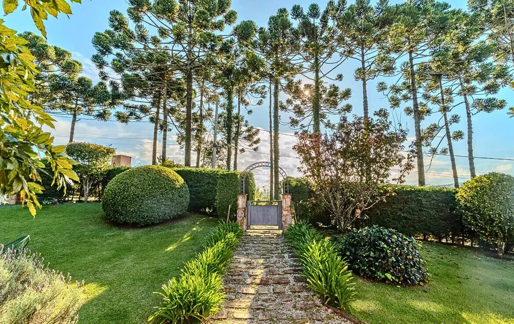 Casa, 4 quartos, 350 m² - Foto 6