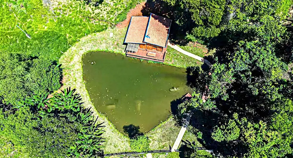 Casa, 7 quartos, 426 m² - Foto 1