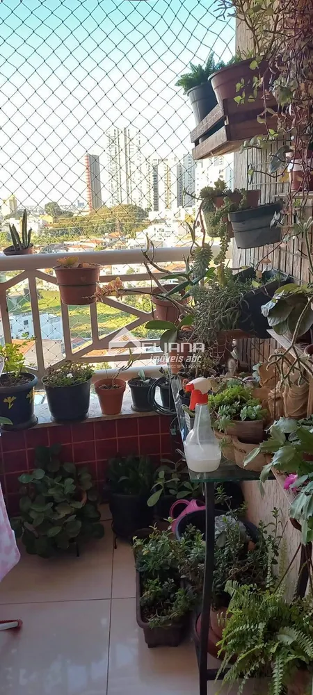 Apartamento, 3 quartos, 91 m² - Foto 1