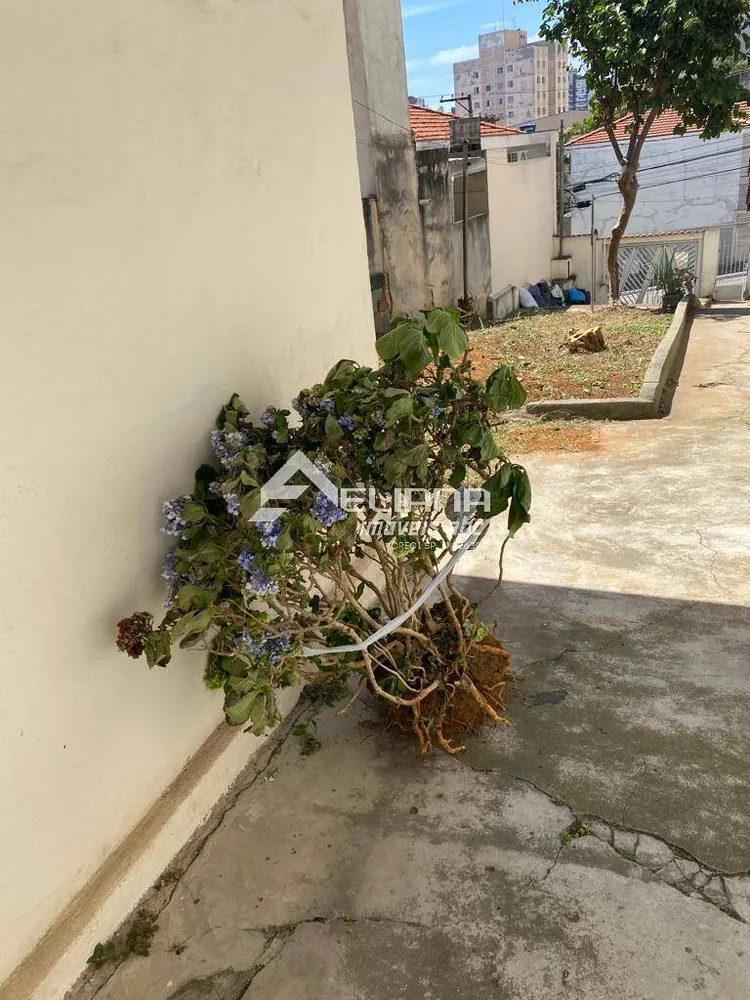 Terreno, 258 m² - Foto 10