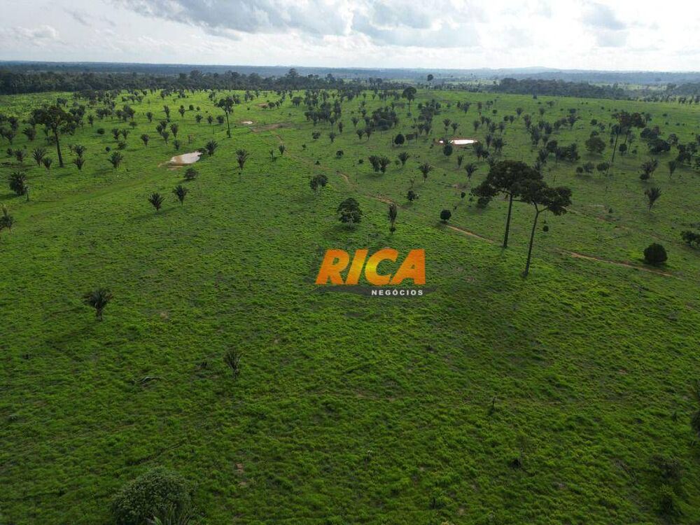 Fazenda, 878 hectares - Foto 4