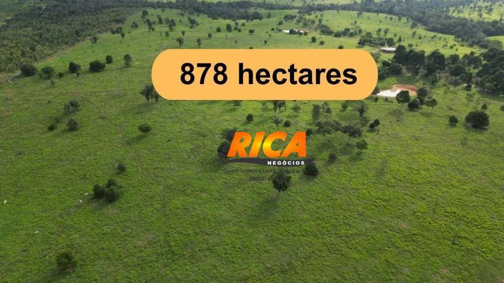 Fazenda, 878 hectares - Foto 1