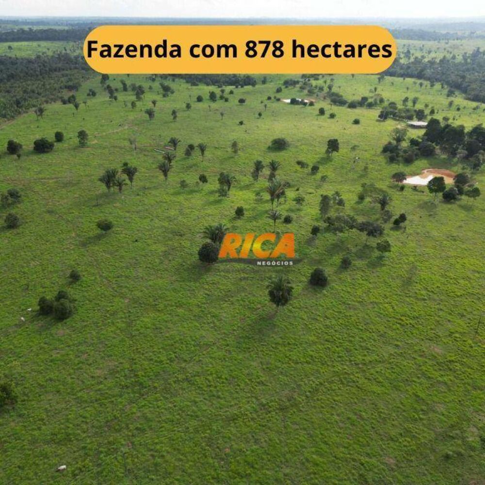Fazenda, 878 hectares - Foto 1
