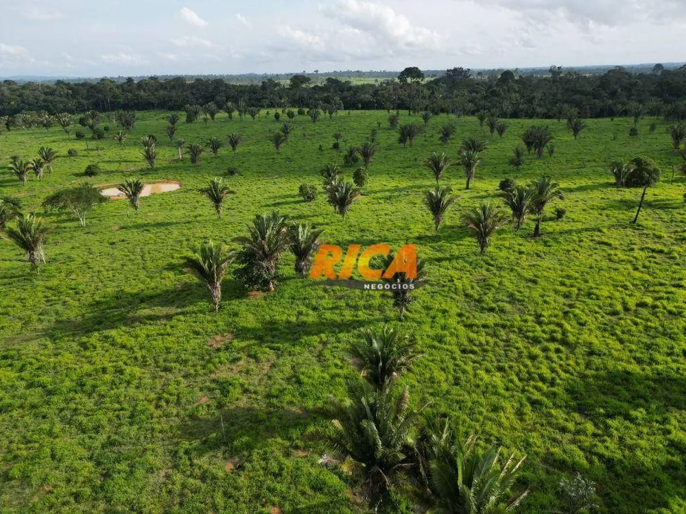 Fazenda, 878 hectares - Foto 9