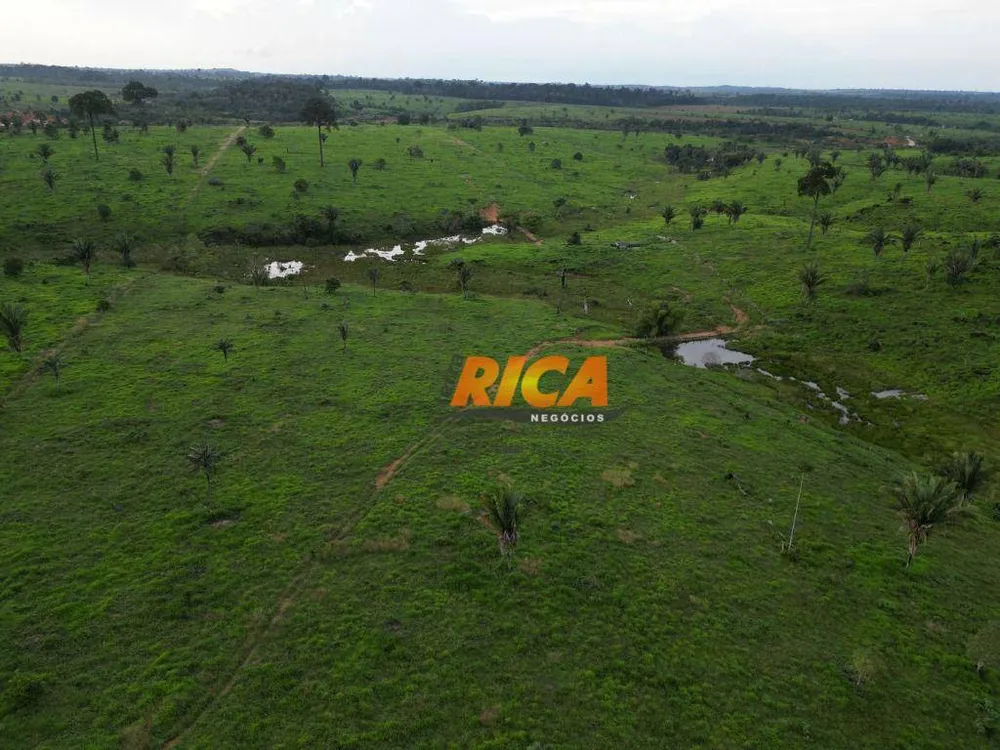 Fazenda, 878 hectares - Foto 8