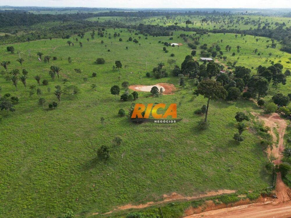 Fazenda, 878 hectares - Foto 3