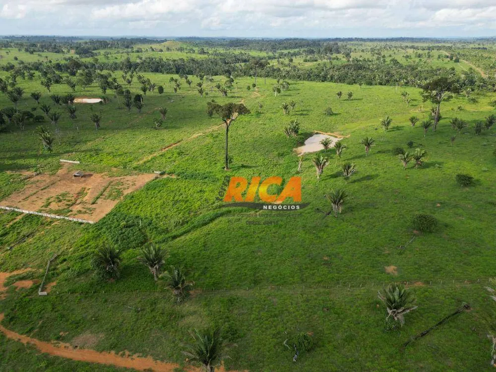 Fazenda, 878 hectares - Foto 6