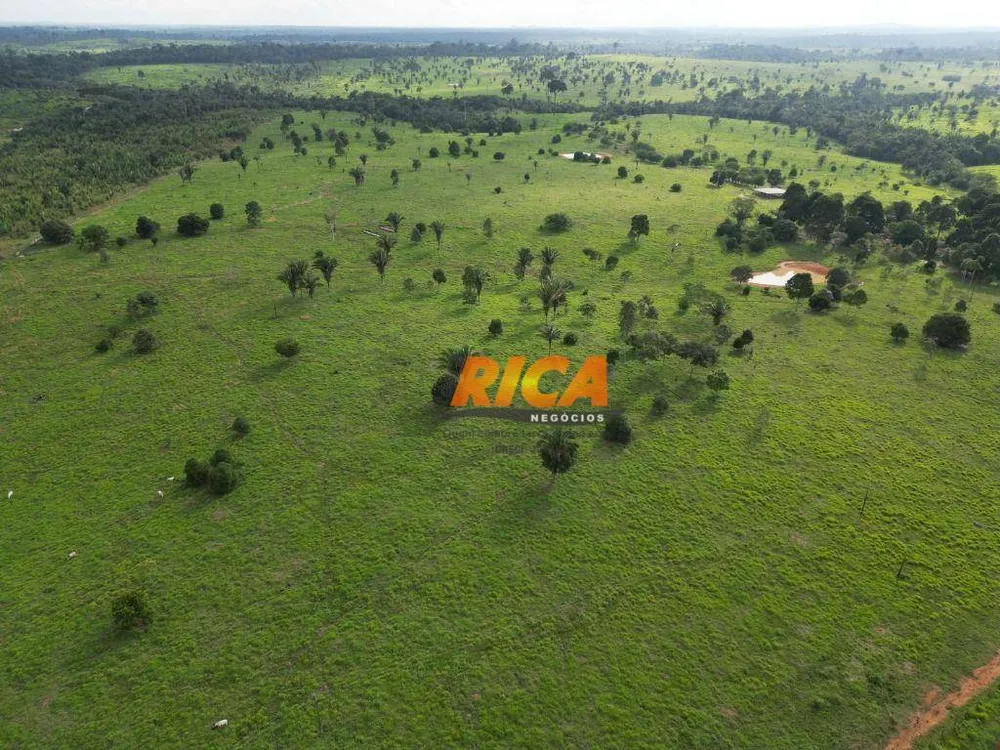 Fazenda, 878 hectares - Foto 10