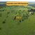 Fazenda, 878 hectares - Foto 1