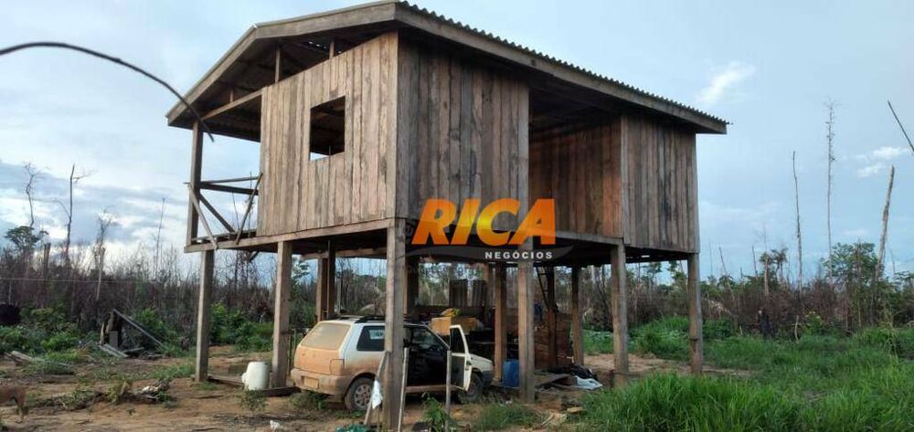 Fazenda-Sítio-Chácara, 260 hectares - Foto 3