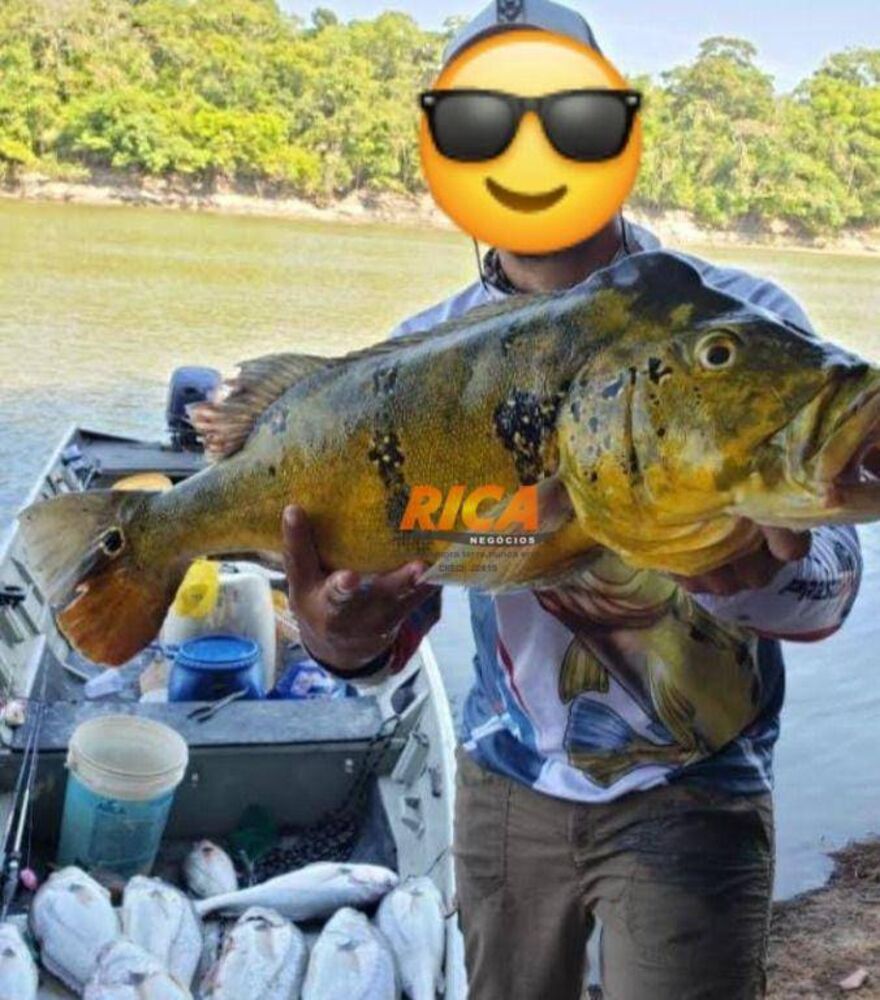 Fazenda-Sítio-Chácara, 260 hectares - Foto 4