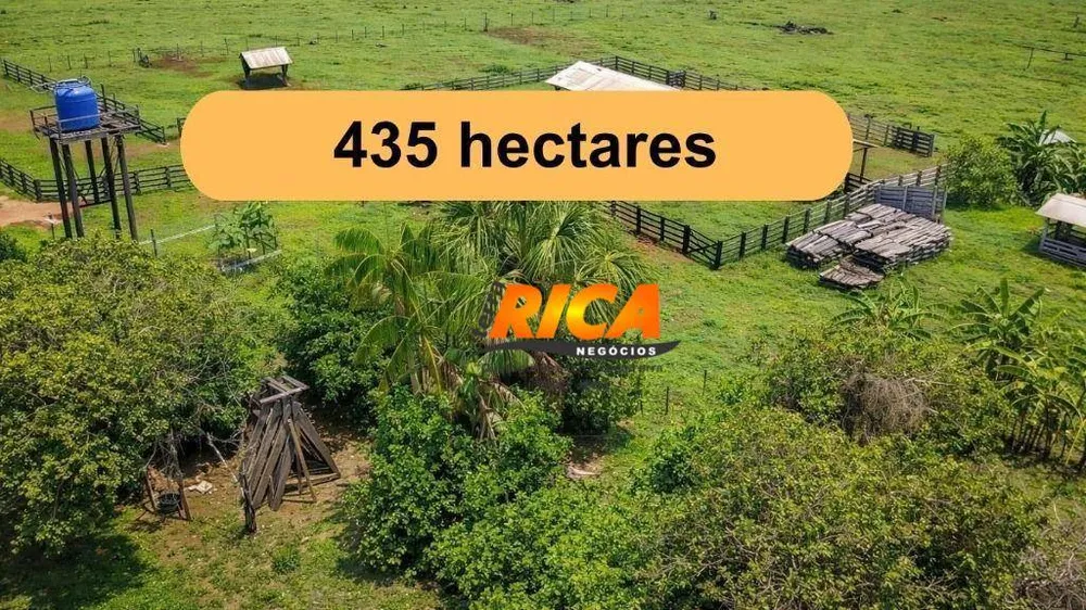 Fazenda, 435 hectares - Foto 7