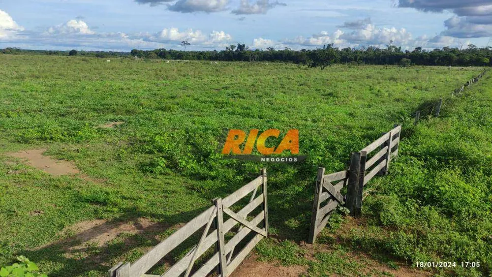 Fazenda, 477 hectares - Foto 11