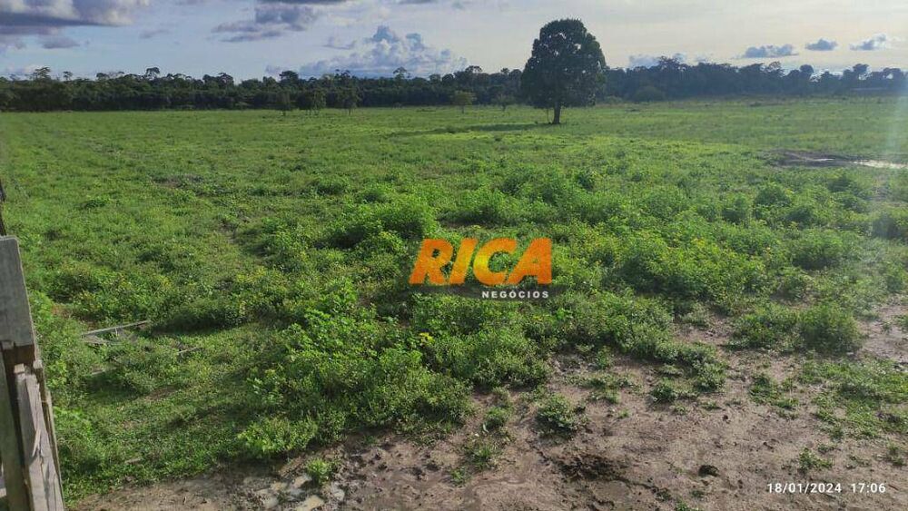 Fazenda, 477 hectares - Foto 7