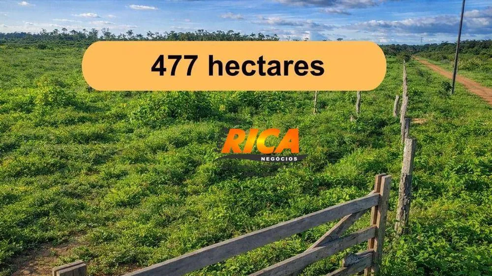 Fazenda, 477 hectares - Foto 2