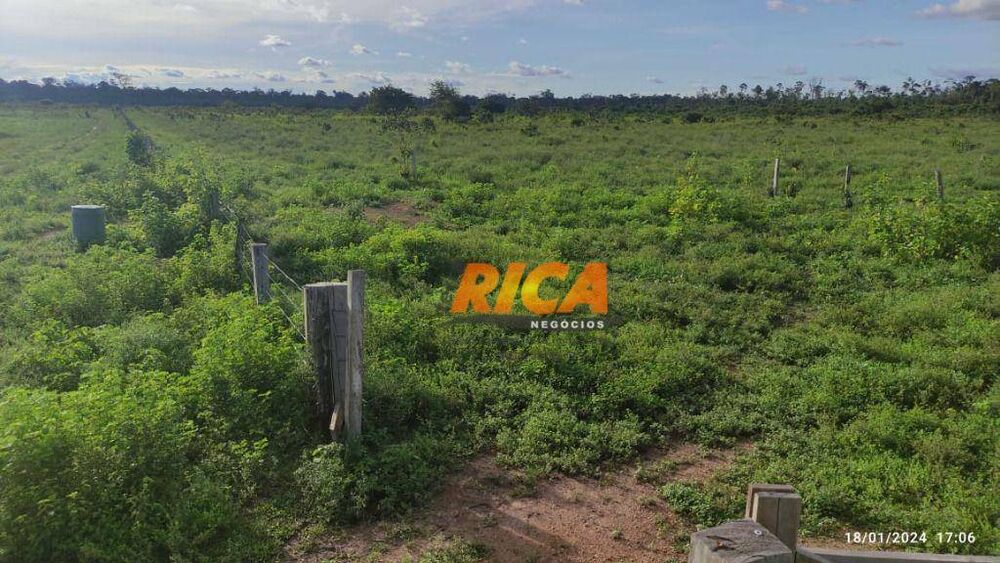 Fazenda, 477 hectares - Foto 6